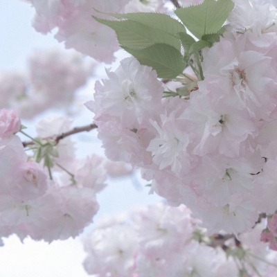 兽设沙漠场景设计福瑞交流群